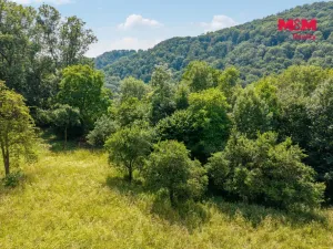 Prodej zahrady, Ryjice, 1648 m2