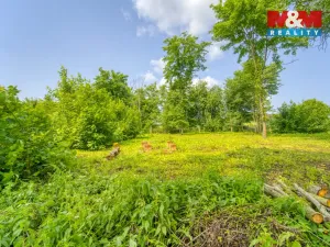 Prodej pozemku pro bydlení, Kšice, 2641 m2