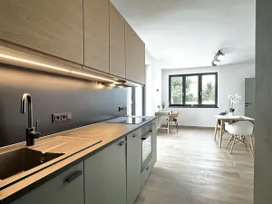 Pronájem bytu 3+kk, Hradec Králové, Přemyslova, 53 m2