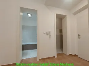 Pronájem bytu 2+kk, Praha - Vinohrady, Lublaňská, 56 m2