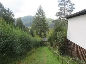 Dražba chaty, Stříbrná Skalice, 42 m2