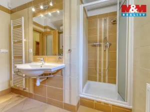 Prodej rodinného domu, Zruč-Senec - Zruč, Zlatá, 266 m2