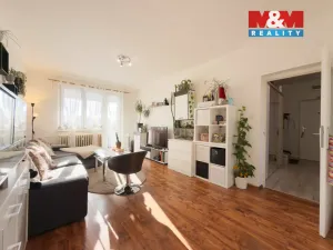 Prodej bytu 2+1, Karviná - Ráj, V Aleji, 60 m2