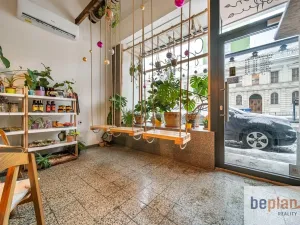 Pronájem restaurace, Brno, Štefánikova, 35 m2