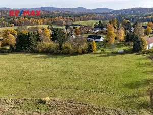 Prodej pozemku pro bydlení, Velká Bukovina, 2341 m2