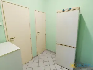 Prodej bytu 1+kk, Praha - Nusle, Petra Rezka, 26 m2