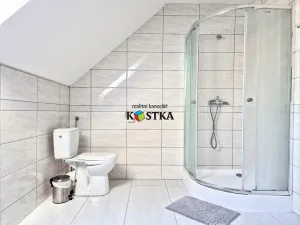 Prodej ubytování, Leskovec nad Moravicí, 200 m2