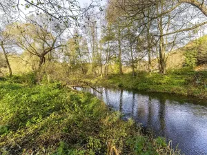 Prodej pozemku, Všechlapy, 927 m2