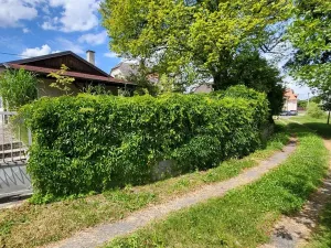 Prodej rodinného domu, Nepomuk, U Rybníka, 55 m2