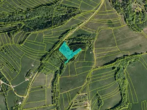 Prodej pozemku, Valašská Senice, 313789 m2