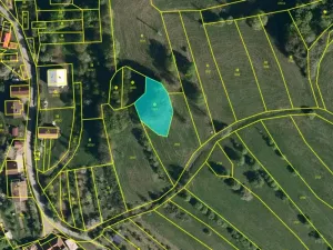 Prodej pozemku, Valašská Senice, 313789 m2