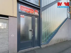 Prodej bytu 1+kk, Plzeň - Východní Předměstí, Guldenerova, 52 m2