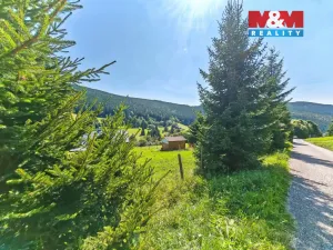 Prodej louky, Malá Úpa - Dolní Malá Úpa, 2445 m2