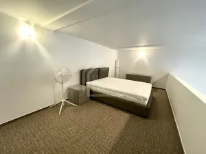 Pronájem bytu 2+kk, Praha - Karlín, Sokolovská, 97 m2