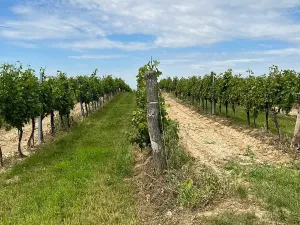 Prodej podílu pozemku, Vracov, 152 m2