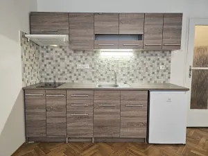 Pronájem bytu 1+kk, Praha - Vinohrady, Řipská, 28 m2