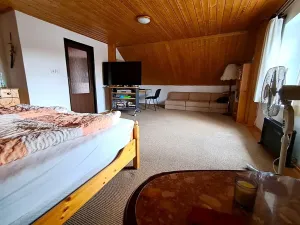 Prodej chalupy, Vysoké Veselí, 290 m2