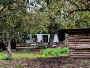 Prodej chaty, Litíč, 60 m2