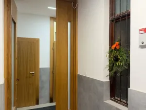 Pronájem bytu 2+1, Brno - Veveří, Antonínská, 72 m2