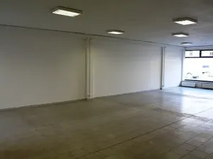 Pronájem obchodního prostoru, Prostějov, Wolkerova, 194 m2