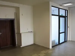 Pronájem obchodního prostoru, Prostějov, Wolkerova, 194 m2