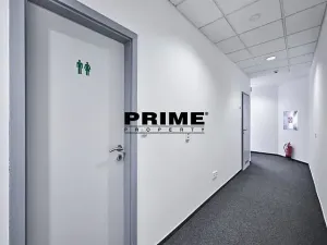 Pronájem kanceláře, Praha - Nové Město, Soukenická, 262 m2