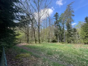 Prodej pozemku pro bydlení, Bohutín, 1379 m2