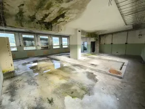 Prodej obchodního prostoru, Zlaté Hory, Na Sídlišti, 313 m2