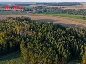 Prodej lesa, Všehrdy, 35057 m2