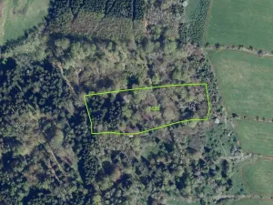 Prodej pole, Petrovice, 16989 m2