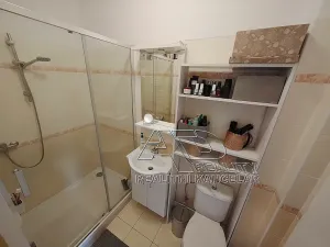 Pronájem bytu 2+1, České Budějovice, L. B. Schneidera, 54 m2