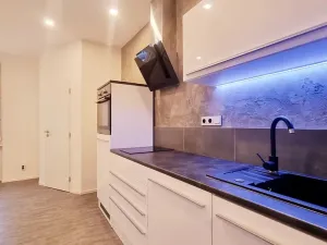 Pronájem bytu 1+1, Brno, Dobrovského, 44 m2