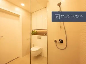 Pronájem bytu 1+kk, Brno, Koliště, 23 m2