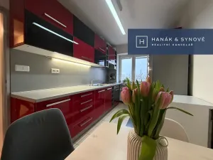 Pronájem bytu 2+1, Brno, Náplavka, 58 m2