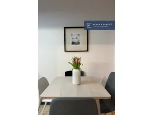 Pronájem bytu 2+1, Brno, Náplavka, 58 m2