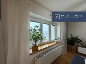 Pronájem bytu 2+1, Brno, Náplavka, 58 m2