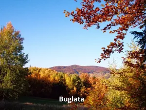 Prodej rodinného domu, Radošovice, 114 m2