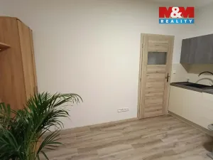Pronájem bytu 1+kk, Suchdol nad Lužnicí - Tušť, 25 m2