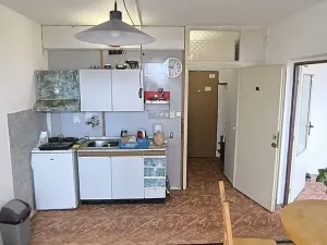 Prodej bytu 1+1, Cheb, Lesní, 36 m2