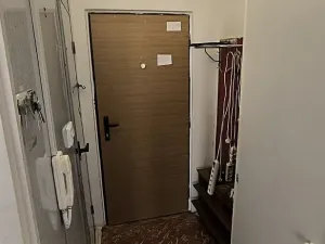 Prodej bytu 1+1, Cheb, Lesní, 36 m2