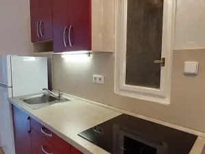 Pronájem bytu 1+1, Praha - Holešovice, Dělnická, 50 m2