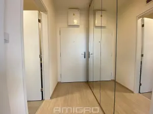 Pronájem bytu 1+kk, Brno, Reissigova, 41 m2