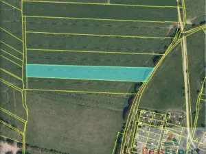 Prodej pole, Nový Rychnov, 73681 m2