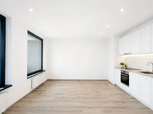 Pronájem bytu 1+kk, Praha - Žižkov, Olgy Havlové, 32 m2