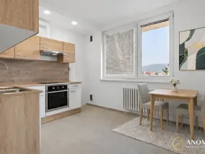 Pronájem bytu 1+1, Brno, Vavřinecká, 35 m2