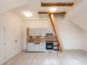 Pronájem bytu 1+kk, Liberec - Liberec III-Jeřáb, Americká, 53 m2