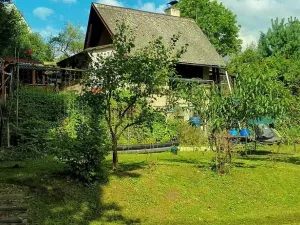 Prodej zahrady, Liberec, Kateřinská, 451 m2