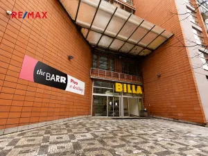 Prodej bytu 1+kk, Praha - Žižkov, Lukášova, 34 m2