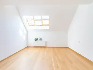 Pronájem bytu 3+kk, Praha - Žižkov, Jeronýmova, 77 m2