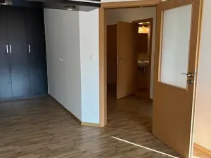 Pronájem bytu 2+1, Benešov, U Pivovaru, 62 m2